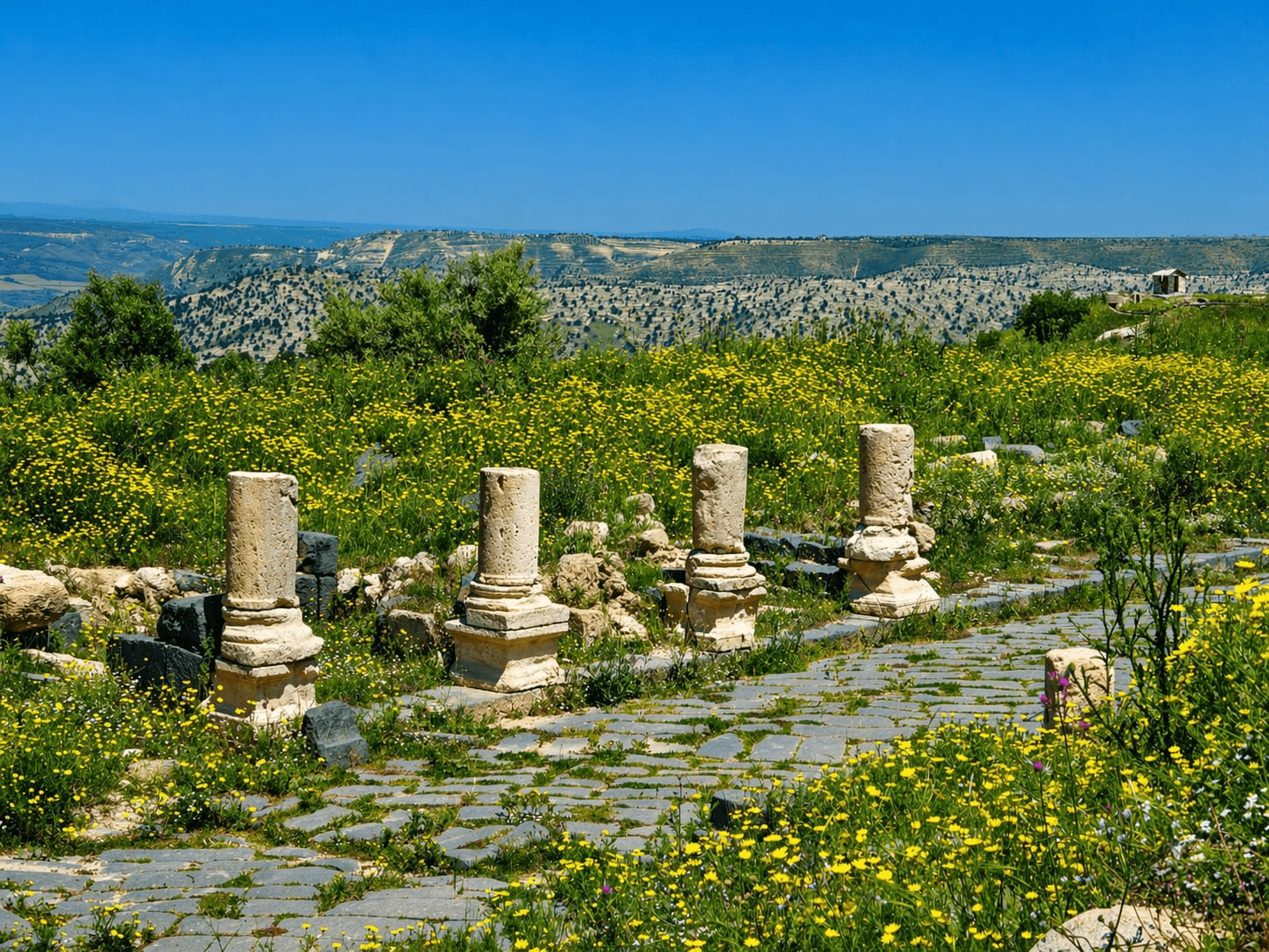 الدار - وجهت مديرية الأمن العام، اليوم الخميس، رسالة توعوية للمواطنين