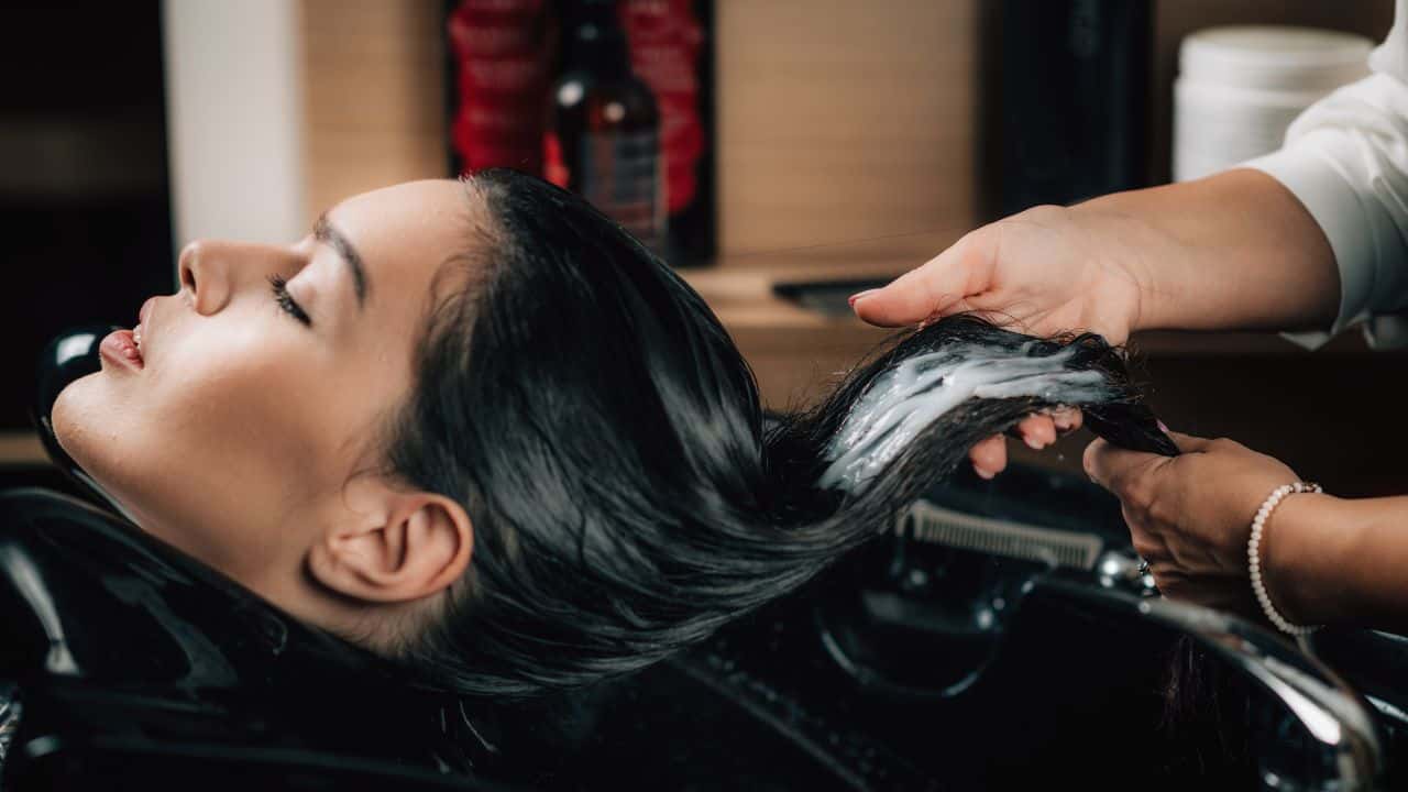 الدار -  أمين عمار - أكد نقيب أصحاب صالونات التجميل، إياد سمارة، أن قط