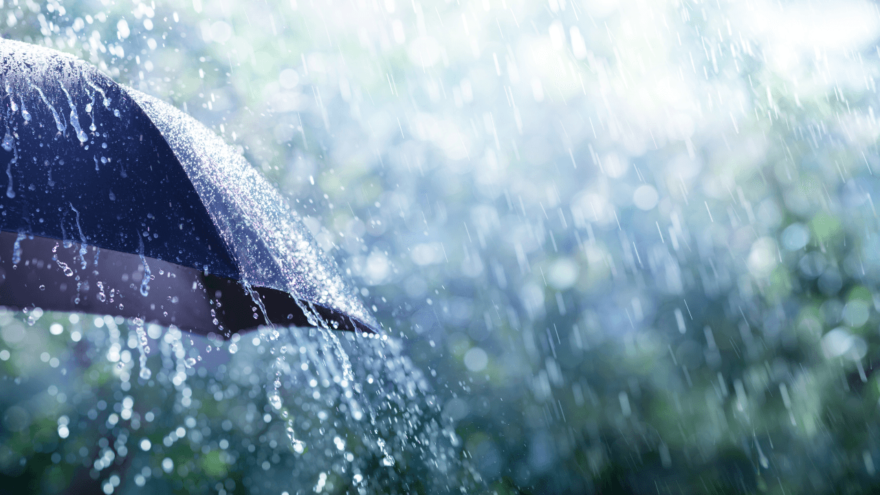 الدار -يكون الطقس اليوم الثلاثاء، باردا نسبيًا في أغلب المناطق، ومائلا