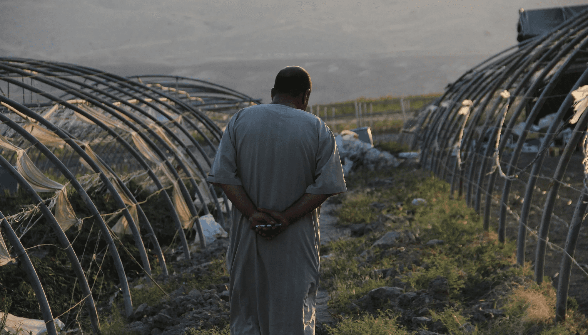 الدار -  حذرت وزارة العمل العمالة غير الأردنية المخالفة، بما فيها عامل