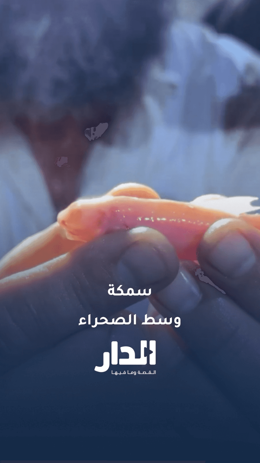 الدار -  تمكّن فريق بحثي متخصص من توثيق أعداد كبيرة من أسماك الكهوف ال