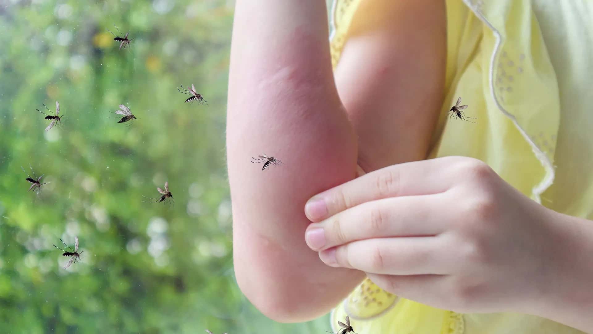 الدار - أعلنت السلطات الفرنسية عن تسجيل أول إصابة بشرية في التاريخ بفي