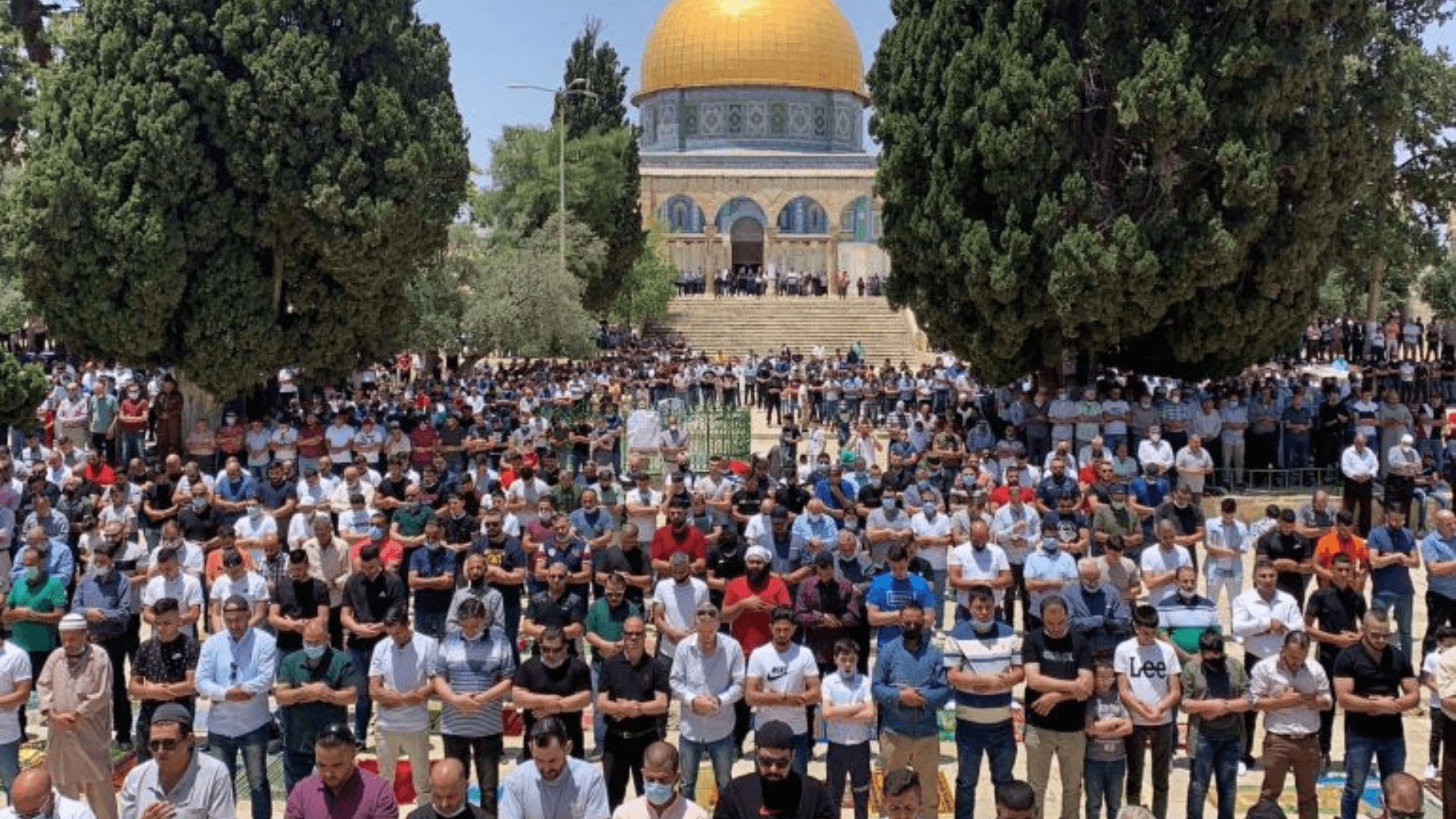 الدار -  أدى أكثر من 70 ألف مصل فلسطيني صلاة الجمعة، اليوم الجمعة، في