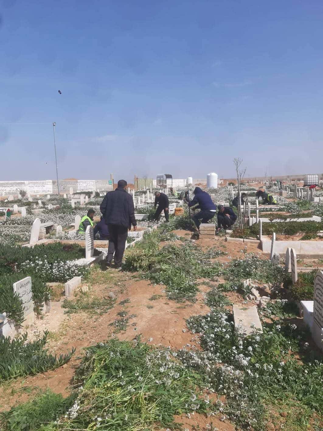 الدار - بدأت كوادر بلدية مادبا الكبرى تنفيذ حملة نظافة وصيانة شملت الم