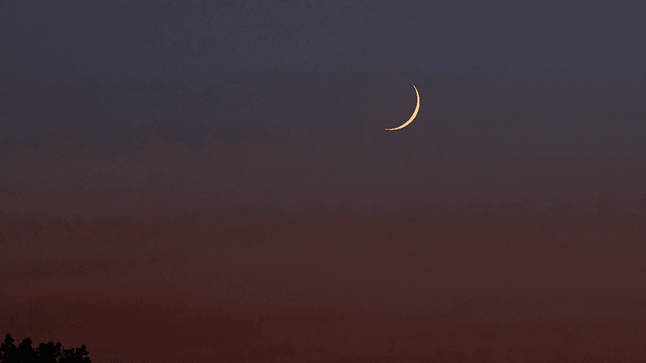 الدار -   أعلن مفتي عام المملكة الدكتور أحمد الحسنات، أن يوم غد الجمعة