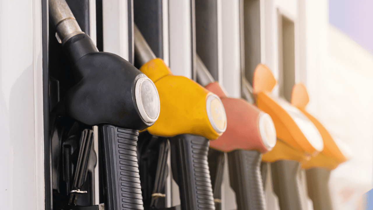 الدار -  قرر مجلس الوزراء الأربعاء إعفاء مشتريات شركة الكهرباء الوطنيّ