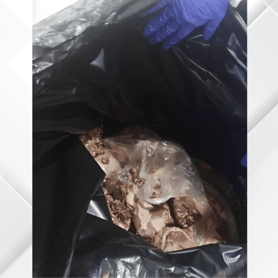 الدار -  ضبطت كوادر مديرية الشؤون الصحية في بلدية المفرق الكبرى، اليوم