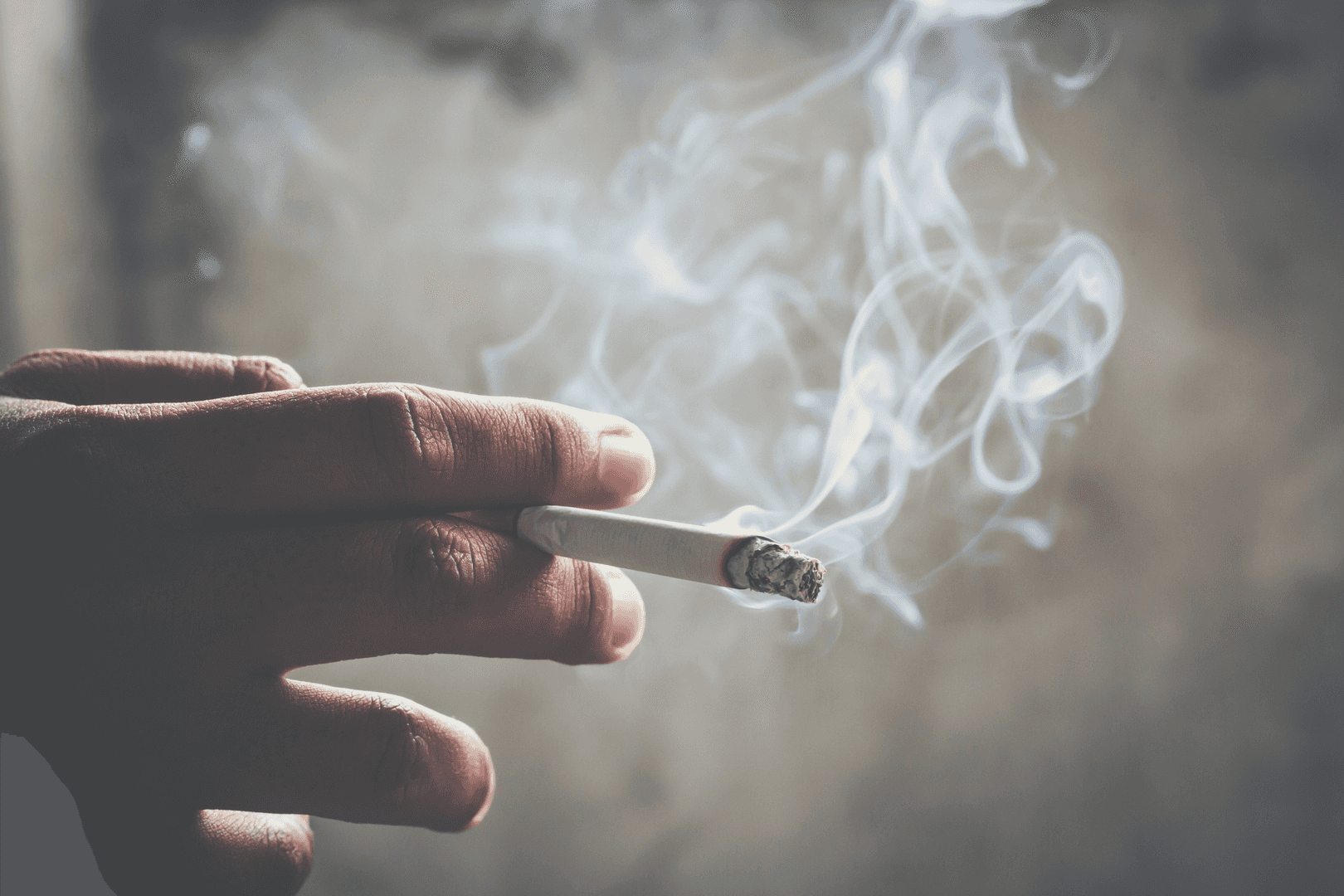 الدار -  كشف مدير التوعية والإعلام الصحي في وزارة الصحة، غيث عويس، عن