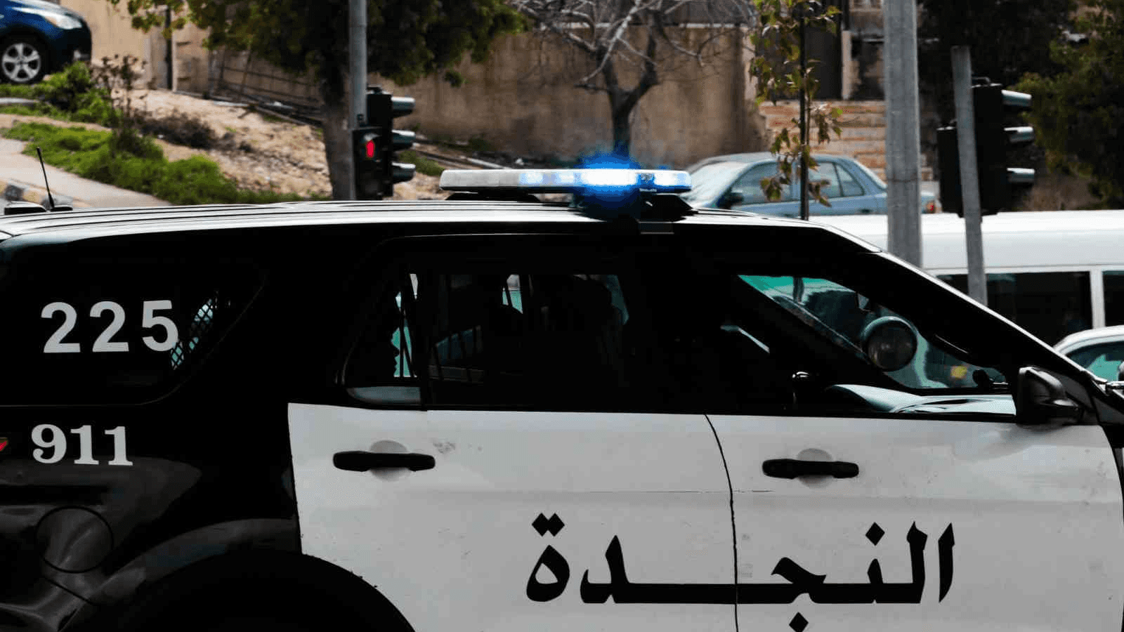 الدار -  تمكنت كوادر شرطة محافظة مادبا، مساء اليوم، من ضبط شخص وثنيه ع