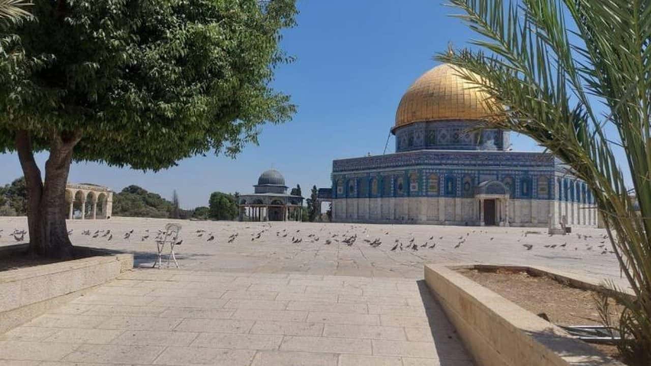 الدار - دانت وزارة الخارجية وشؤون المغتربين بأشدّ العبارات استمرار سلط