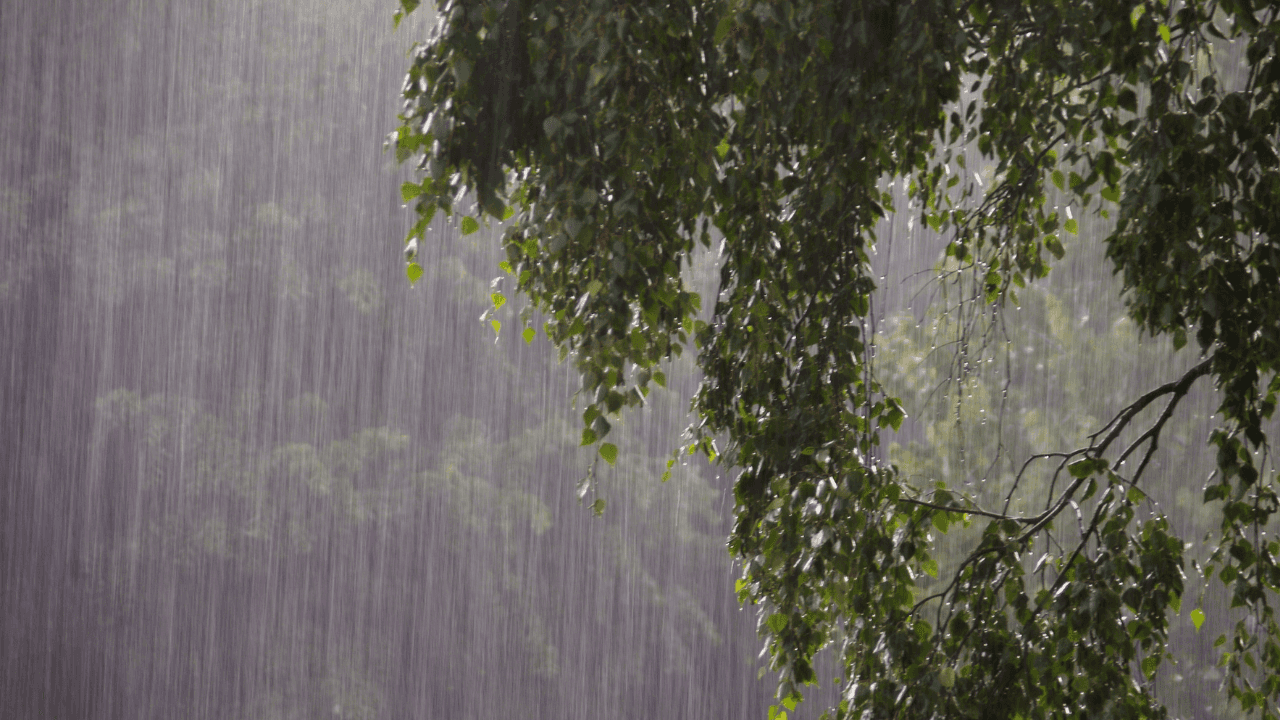 تشهد المملكة، الأربعاء، أجواء دافئة على غير المعتاد، مع تسجيل درجات حر