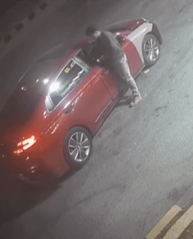 محاولة سرقة بـ20 دينار تهدد حياة شاب في ناعور