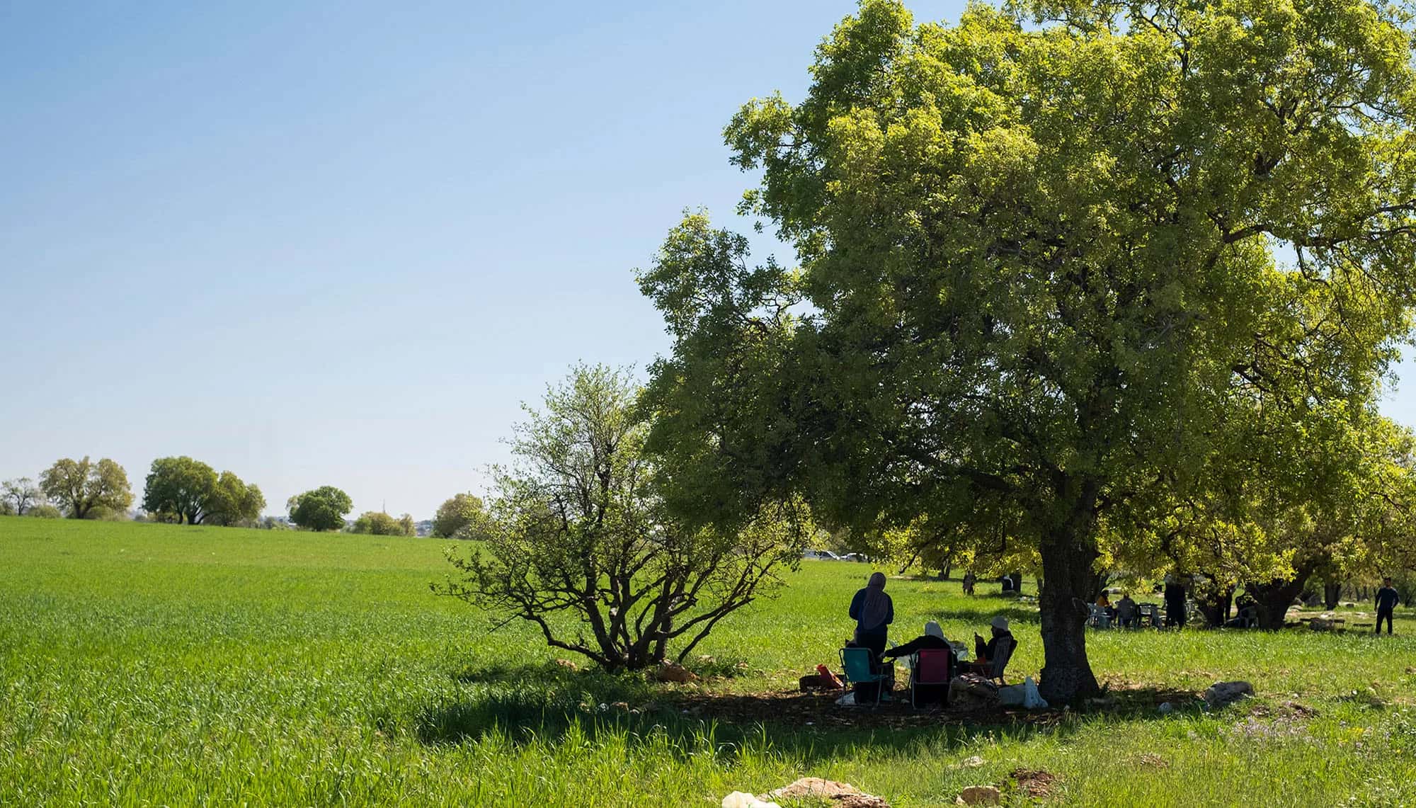 ارتفاع على درجات الحرارة الجمعة وزخات مطرية رعدية متوقعة في مناطق متفر