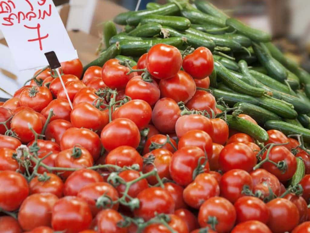 الدار -  خاص - كشف وزير الزراعة، صائب الخريسات، عن الأسباب الحقيقية ور