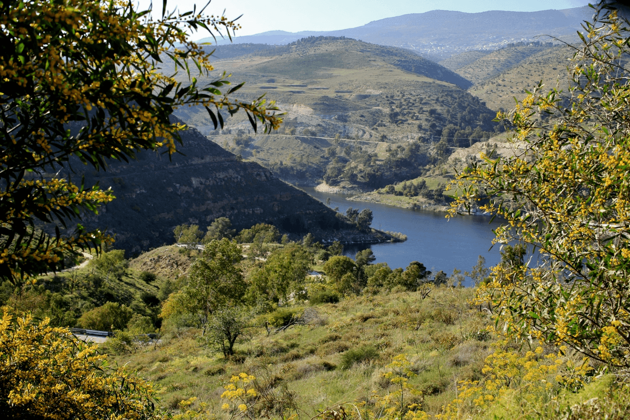 الدار - تشير تقارير إدارة الأرصاد الجوية إلى أن درجات الحرارة اليوم ال