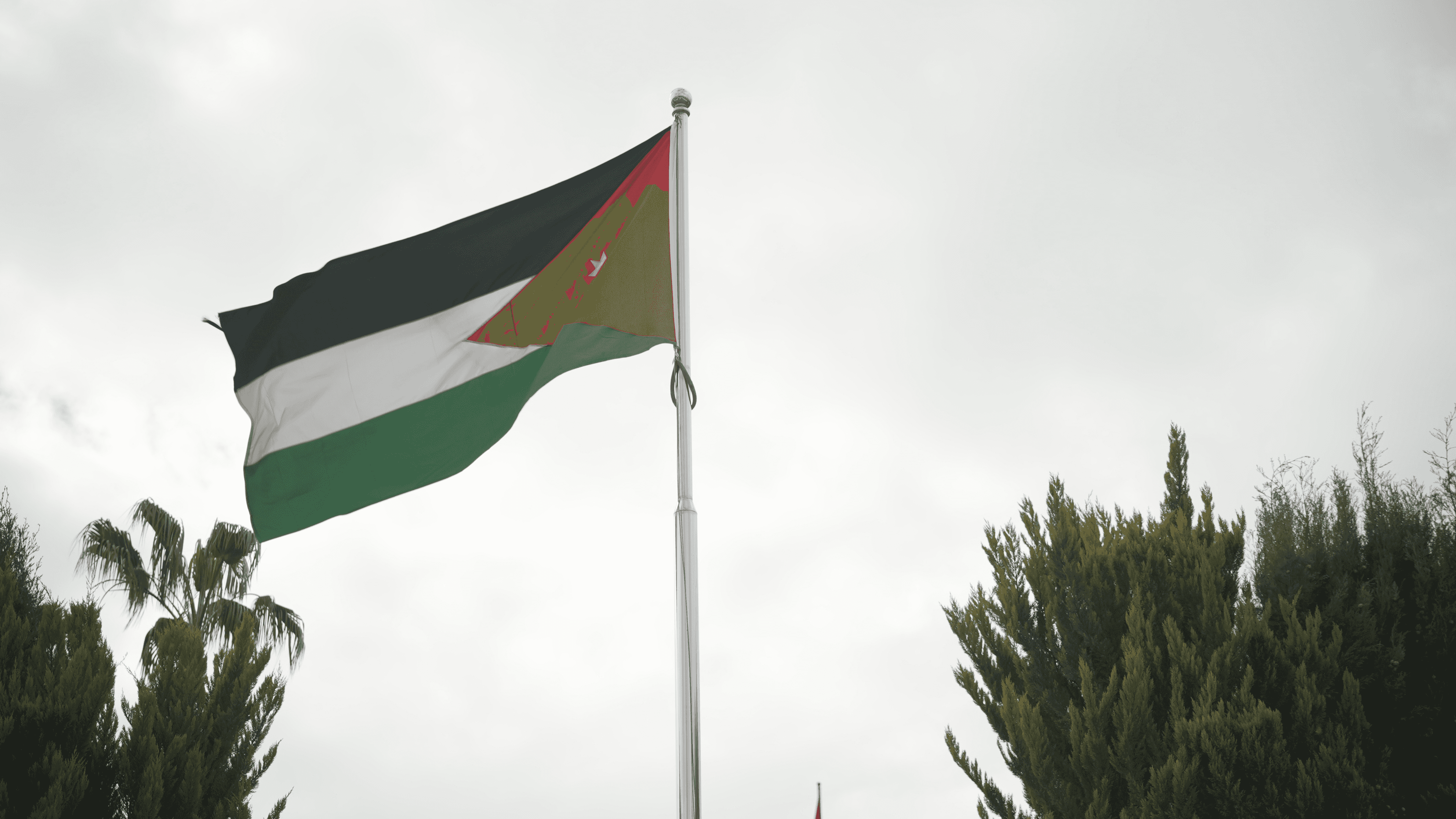 الدار -  رحّبت وزارة الخارجية وشؤون المغتربين، الأربعاء، بالإعلان عن د