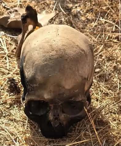 عمر عبدالرؤوف_ أفاد مصدر العثور على جماجم في منطقة عراق الكرك، من قبل