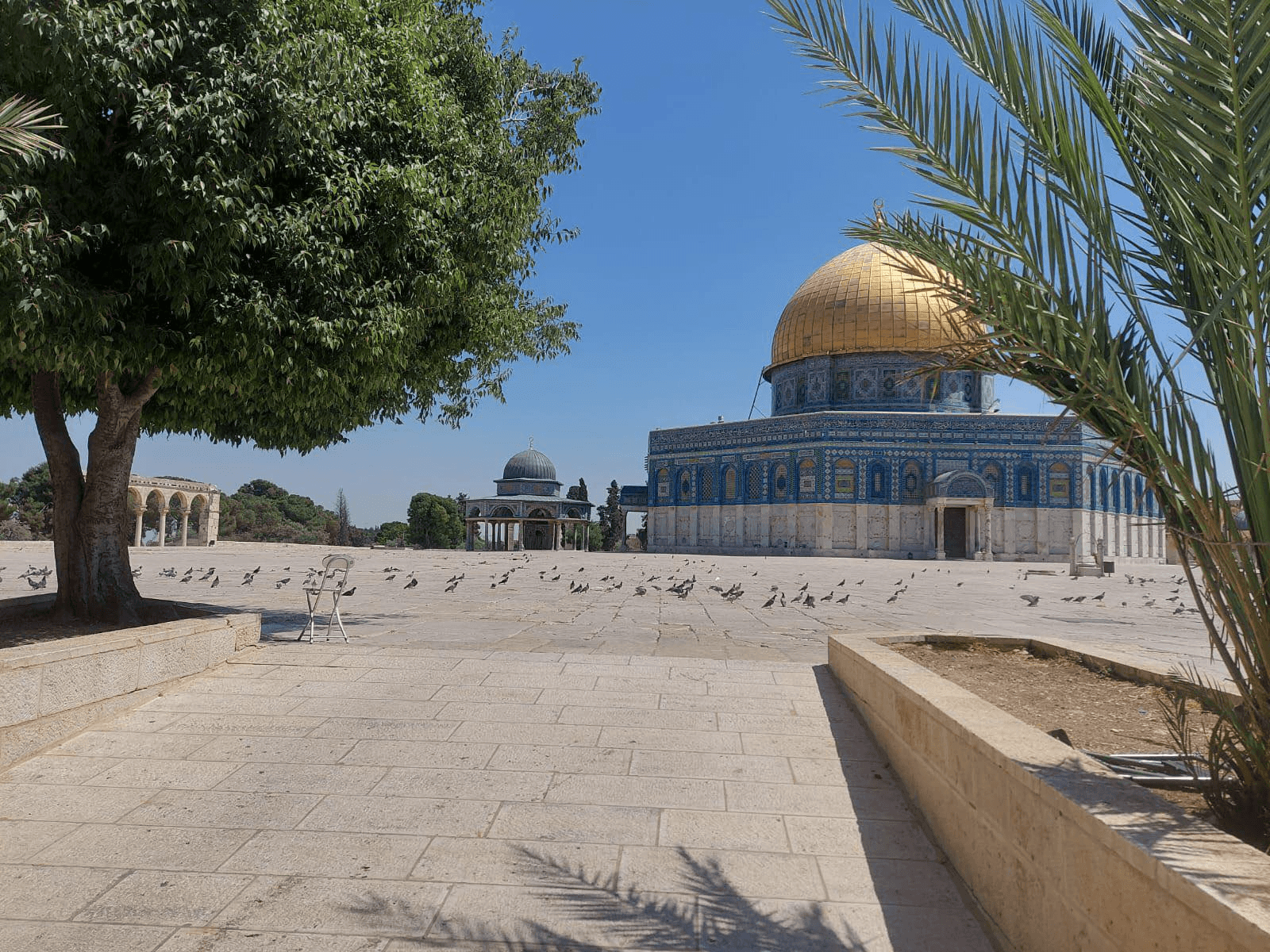 الدار - اختتم المؤتمر العشرون لاتحاد مجالس الدول الأعضاء في منظمة التع