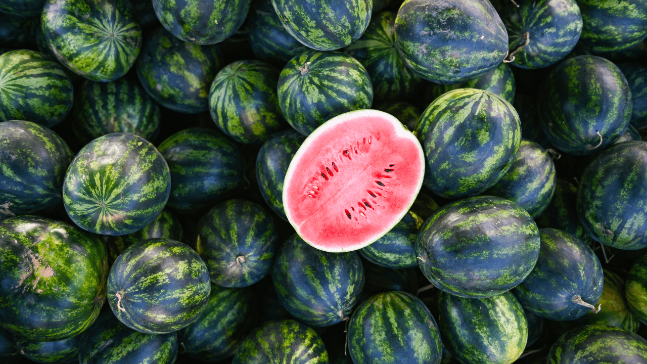 خاص - شكا مواطن من ارتفاع جنوني لأسعار البطيخ في الأسواق بالعاصمة عمان