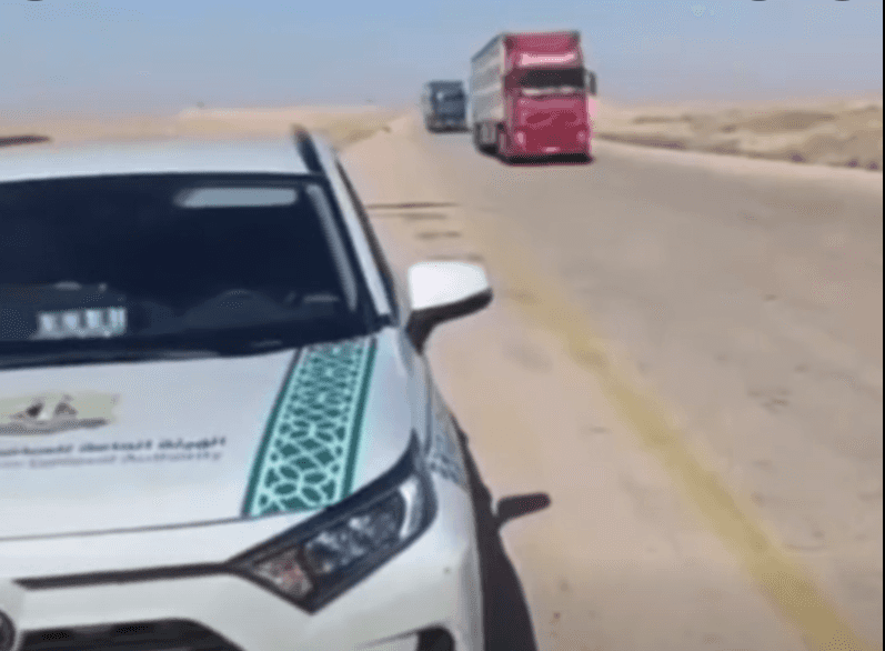 اتهامات تُجبر صادرات الأغنام السورية على هجر المسار الأردني