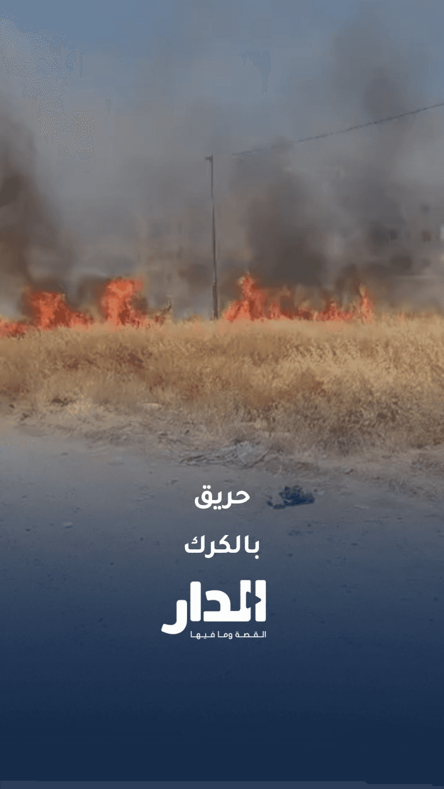 اندلاع حريق في الأعشاب الجافة بمنطقة الثنية في محافظة الكرك، ووصول الن