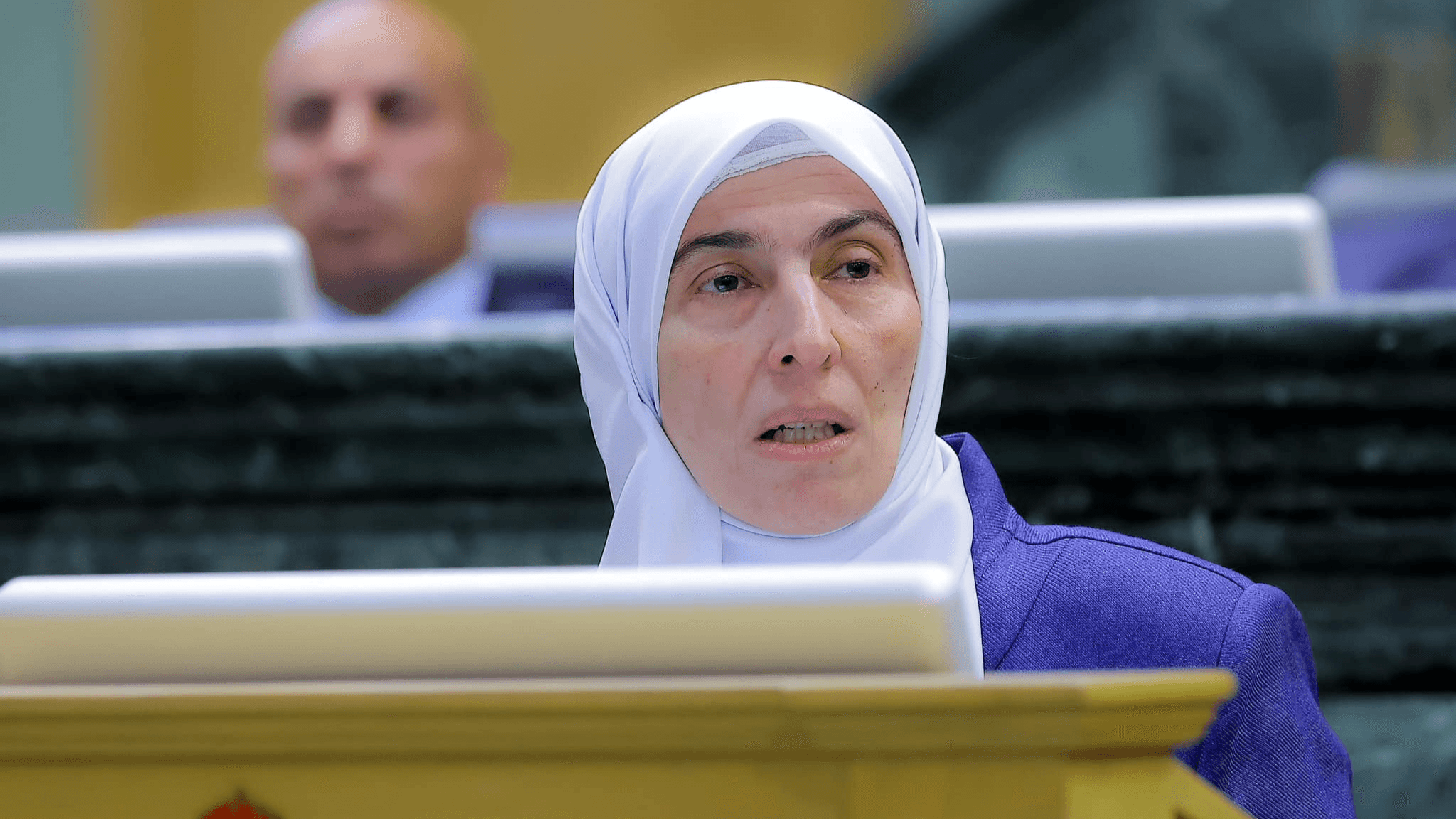 الدار - رحبت النائب ديمة طهبوب بإعلان الحكومة الأردنية، اليوم، توجهها