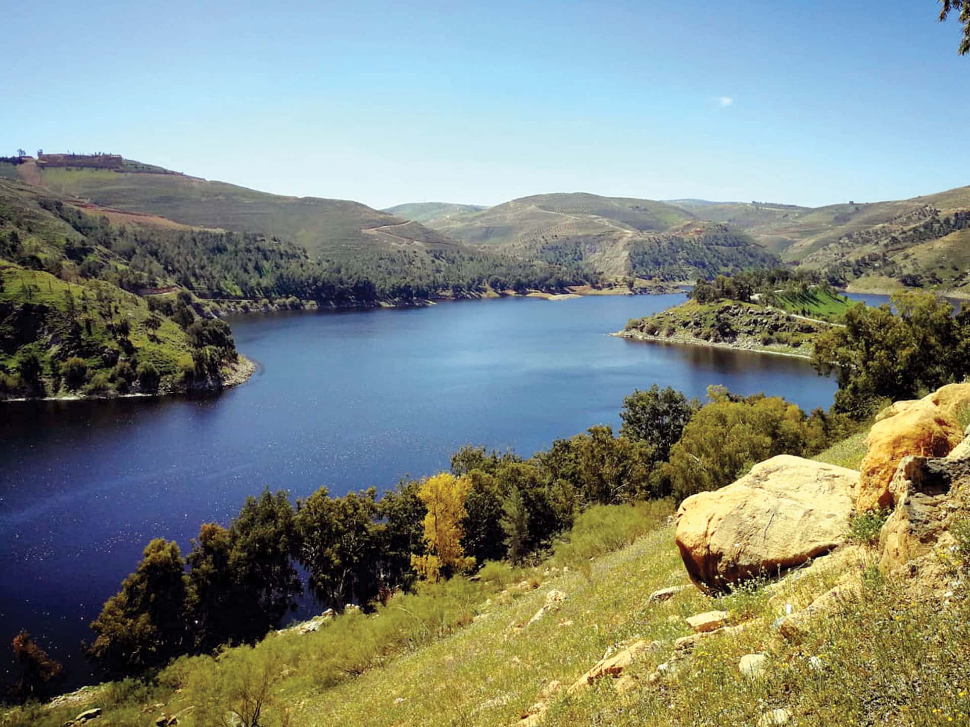 الدار - وصف الناطق باسم وزارة المياه والري، عمر سلامة، الموسم المطري ا