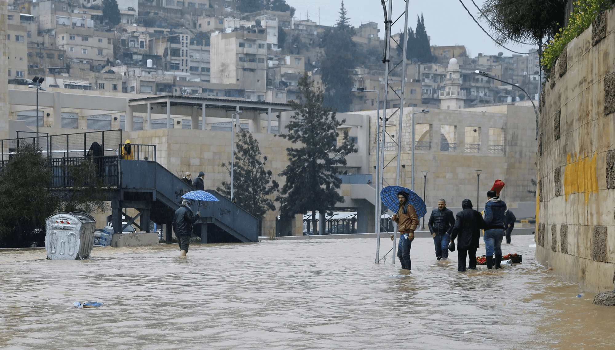 الدار -  خاص - نستيقظ مطلع كل فصل من فصول العام على خبر برتوكولي يتحدث