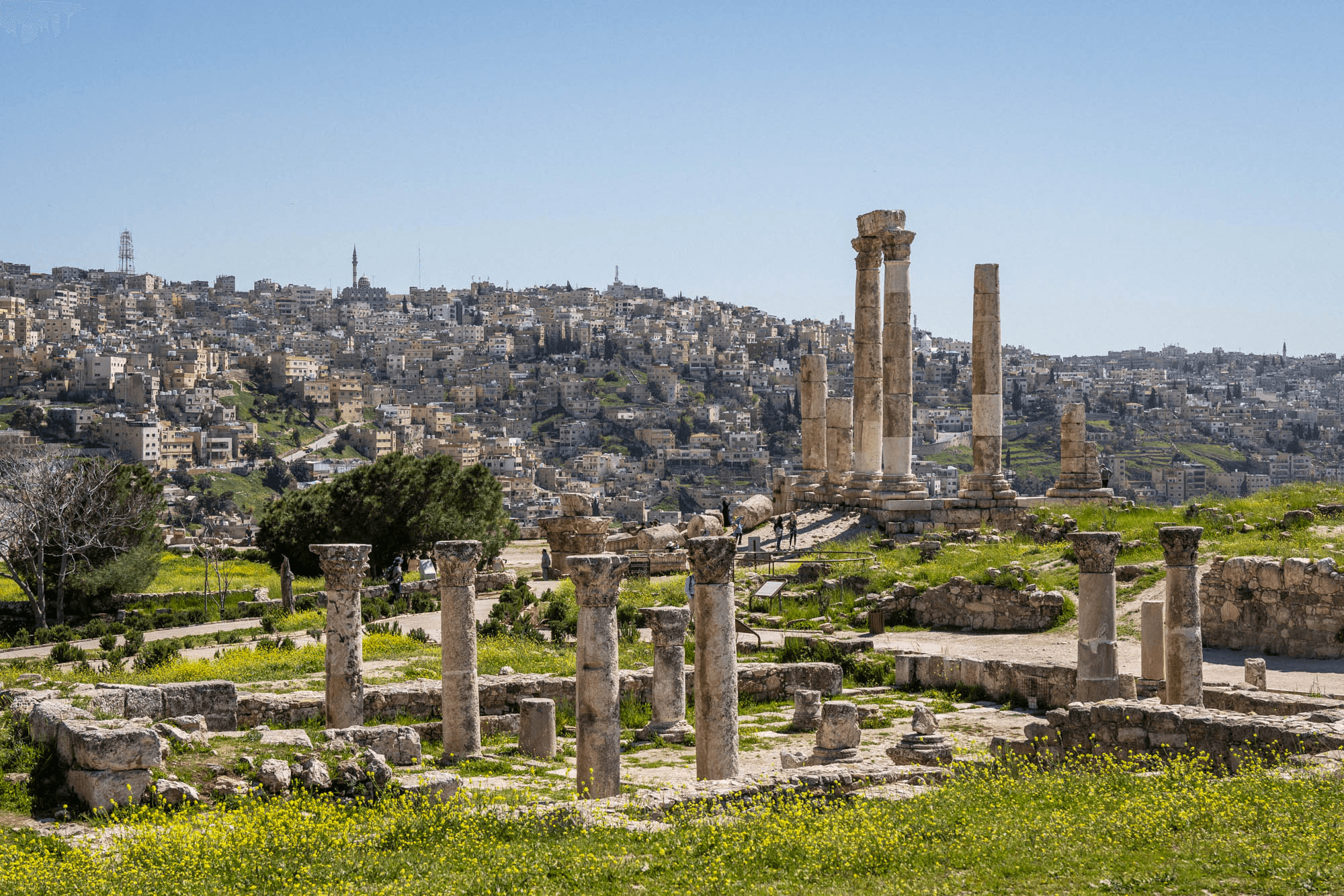 الدار - تنخفض درجات الحرارة قليلاً اليوم الخميس، ليكون الطقس صيفيًا مع