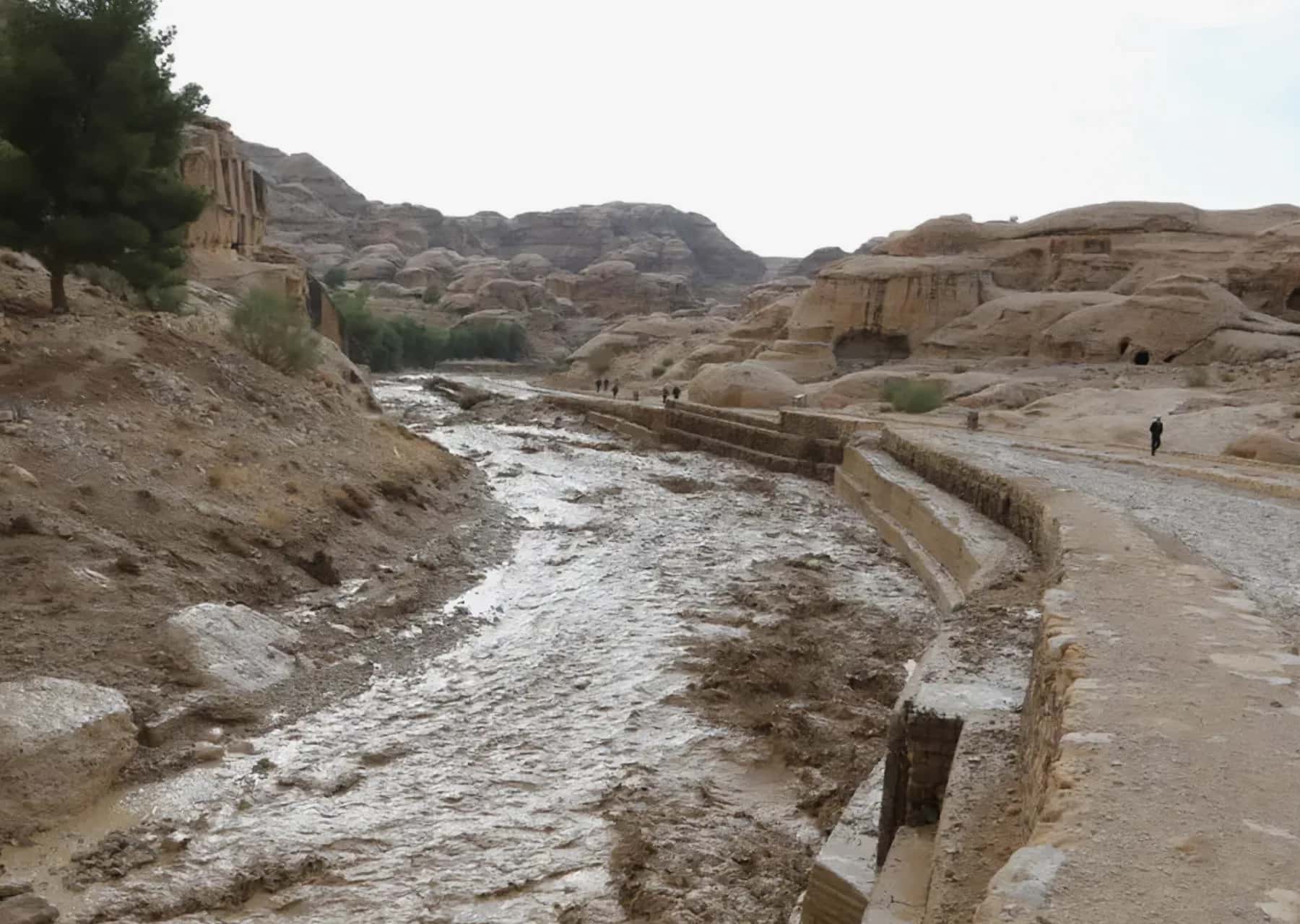 الدار - قرر رئيس مجلس مفوضي سلطة إقليم البترا التنموي السياحي، المهندس