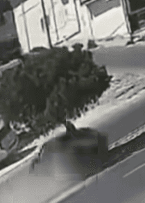 فقدان السيطرة على مركبة يسبب اصطدامًا بشجرة