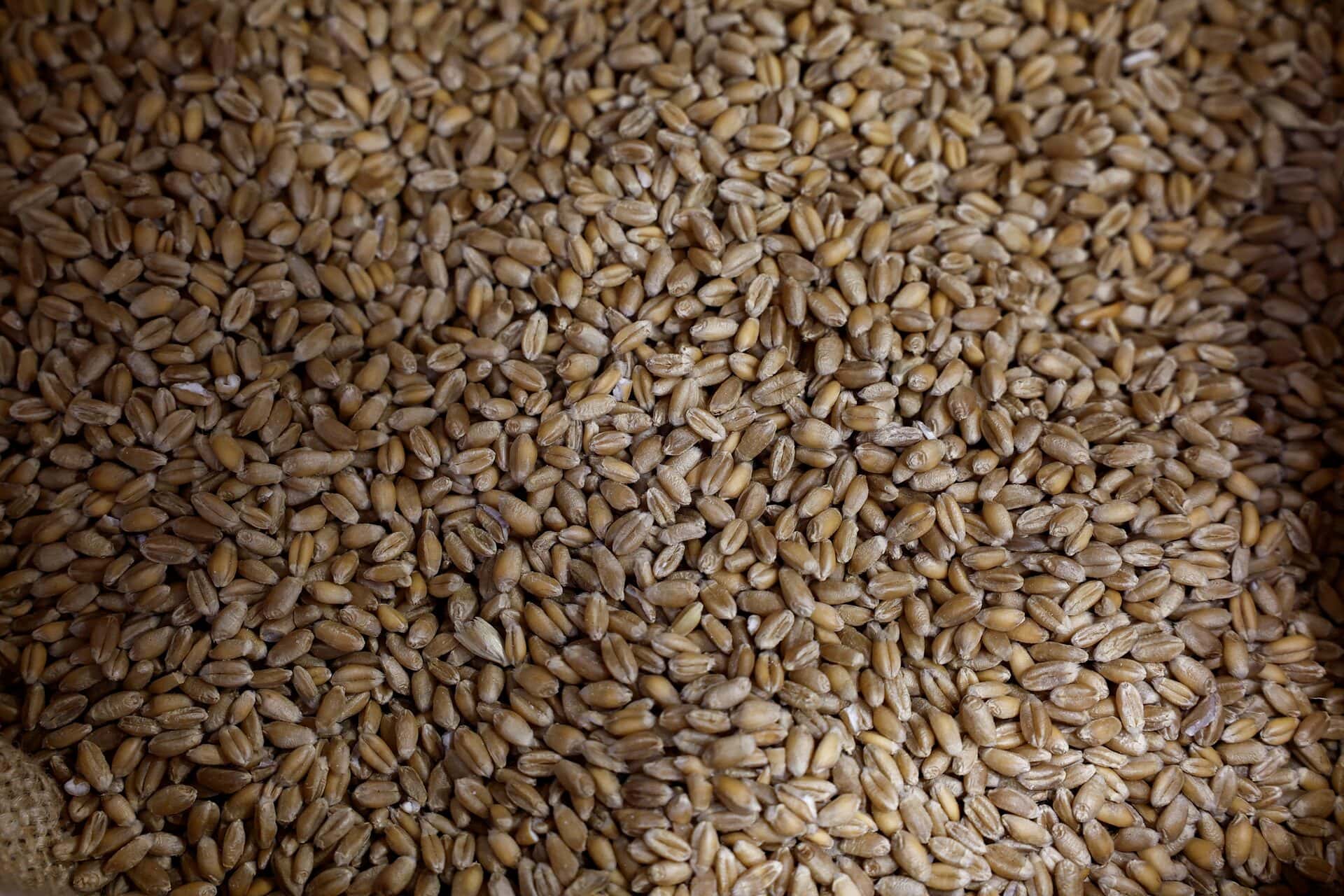 الدار -  كشف رئيس المركز الوطني للأمن السيبراني، محمد الصمادي، اليوم ا