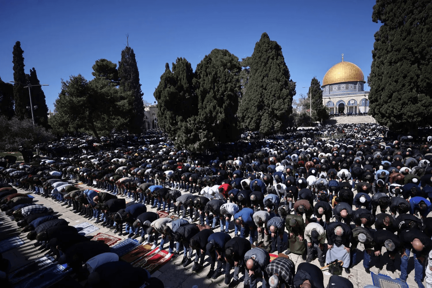 الدار -   في مشهد يعكس الثبات والتمسك بالمقدسات، أدى أكثر من 60 ألف مص