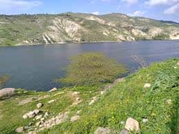 الدار -  صرح الناطق الإعلامي باسم مديرية الأمن العام بأن بلاغاً ورد إل