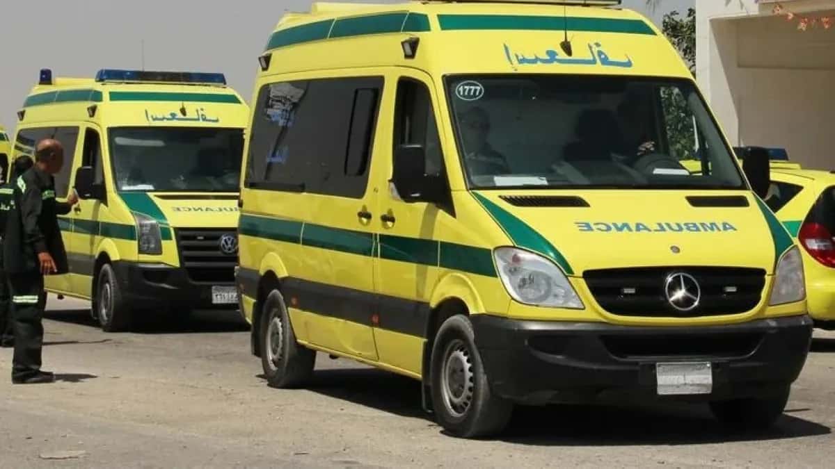 الدار -  شهدت محافظة الجيزة المصرية، اليوم السبت، حادثاً مرورياً مأساو