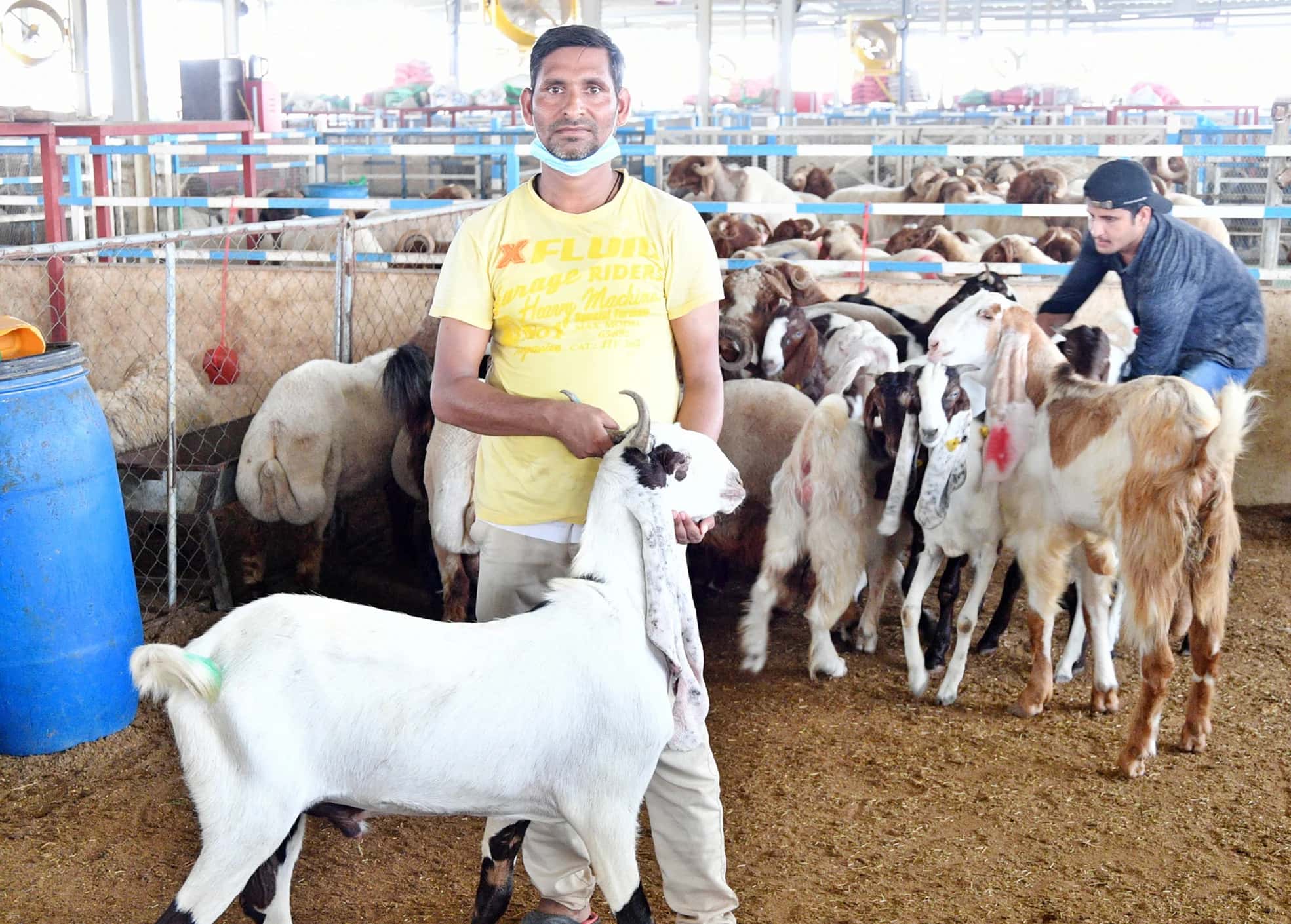 الدار - هاشم المناصير - أكد رئيس جمعية مربي المواشي، زعل الكواليت، أن