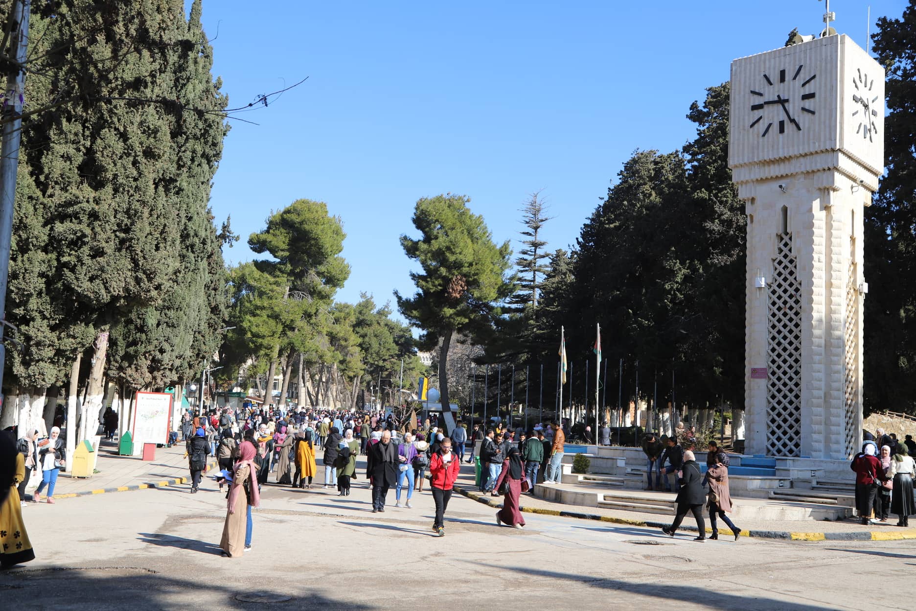 "التعليم العالي": ترشيح 4500 طالب جديد لقروض "صندوق دعم الطالب"