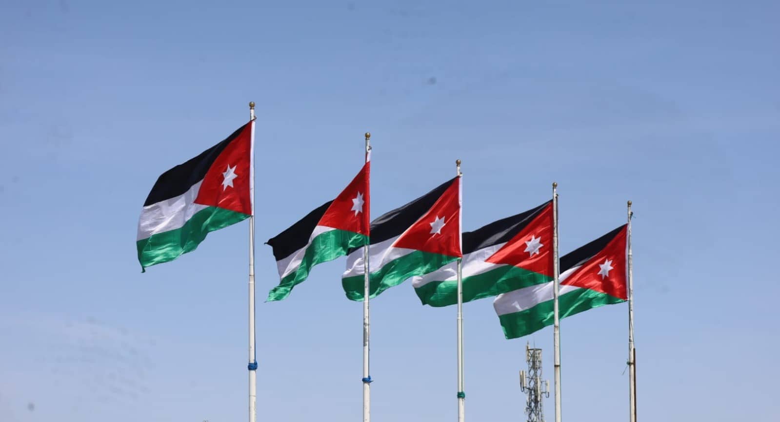 المدّعي العام يقرر توقيف سيدة أساءت ليوم العلم