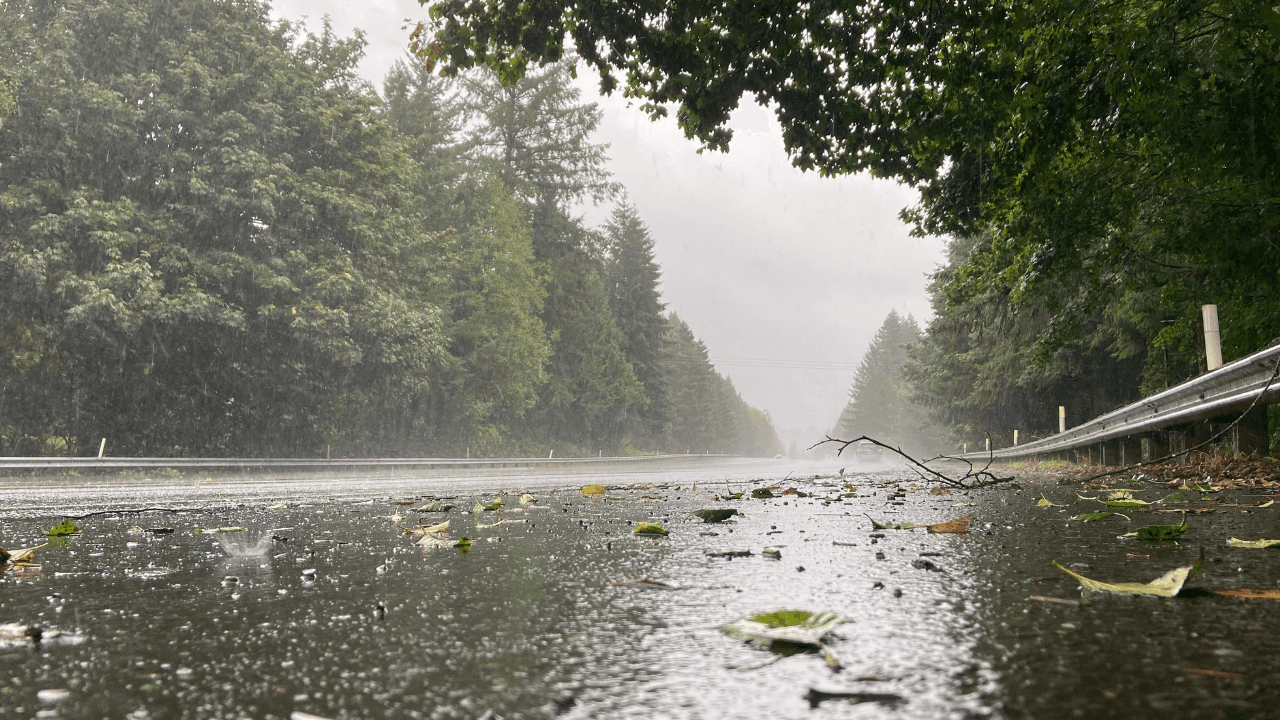 أمطار شمالية محدودة الأحد وطقس مشمس الثلاثاء