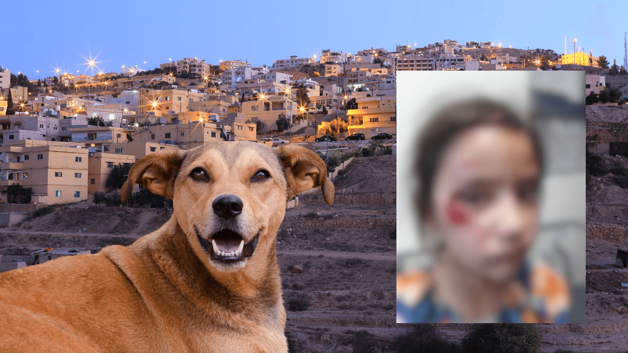 طفلة في معان تنجو من هجوم كلب ضال ووالدها يناشد