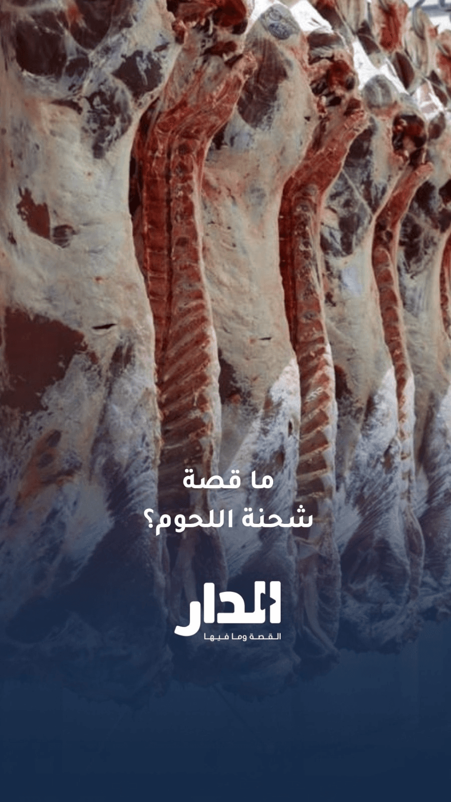 تشكيل لجنة لاتخاذ الإجراءات القانونية بشأن شحنة لحوم