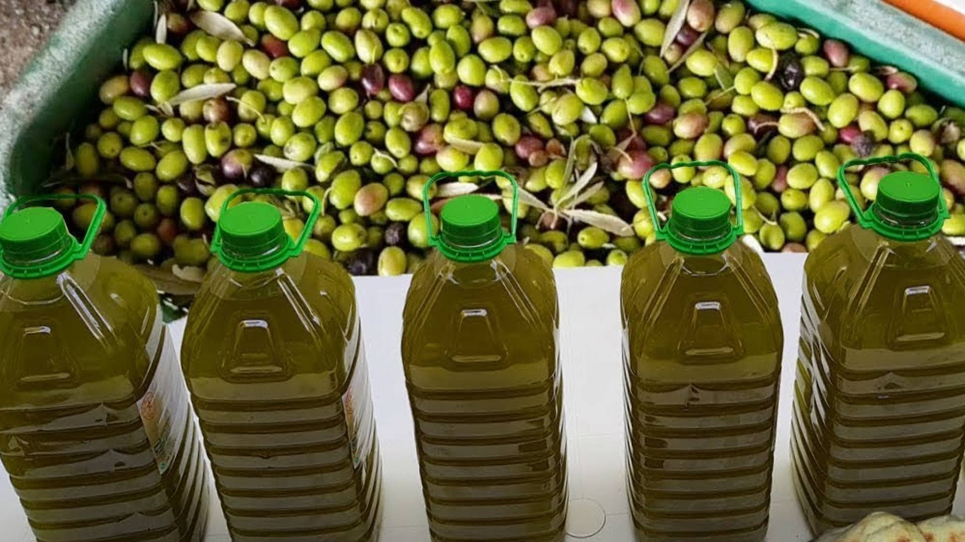 "الاستهلاكية المدنية" تعلن أنها مُنحت رخصة لتوريد مليون لتر من زيت الزيتون