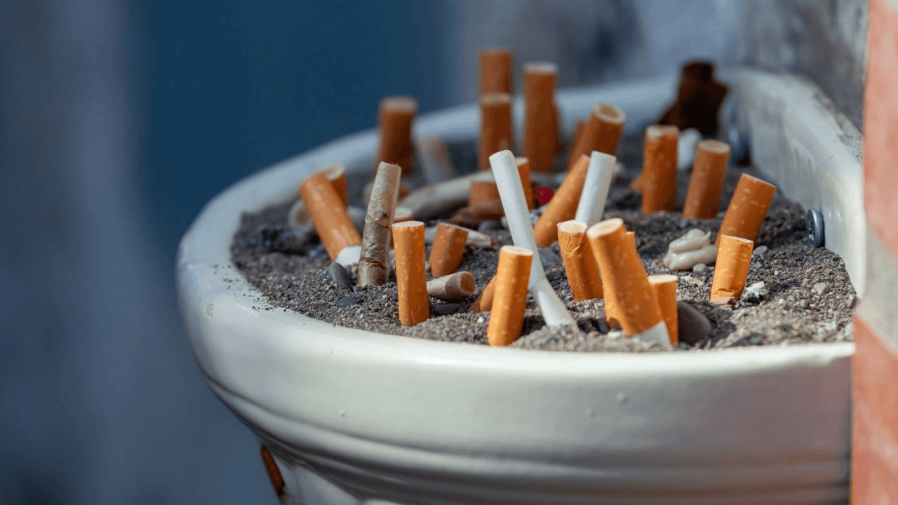 بيان شديد اللهجة بشأن السجائر والتبغ