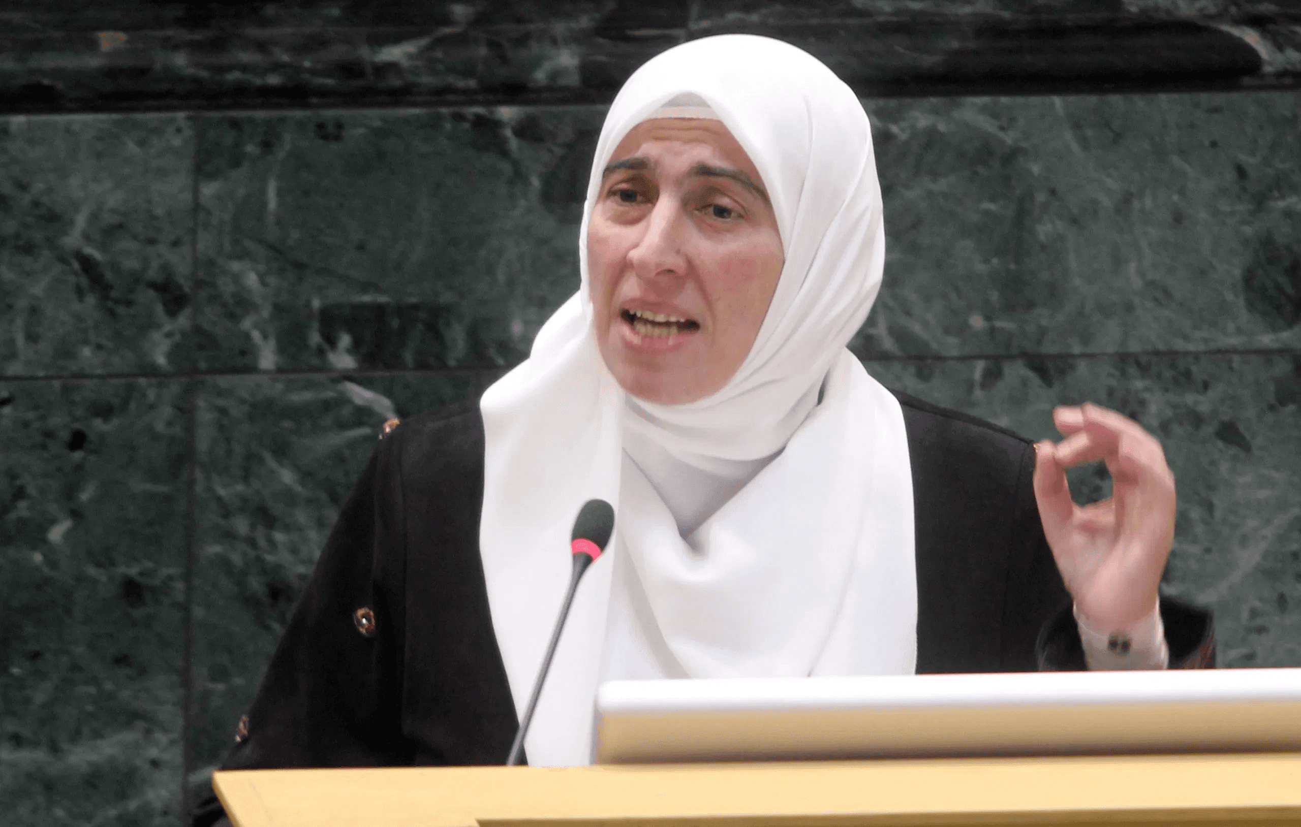 بمذكرة من النائب ديمة طهبوب.. قضية أطفال التوحد تصل الحكومة