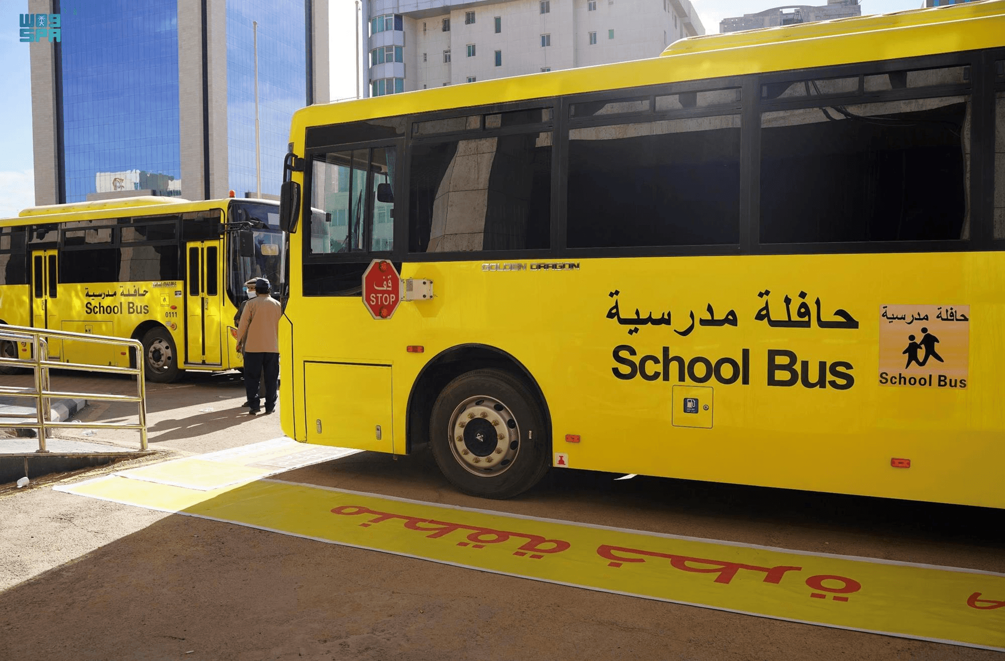 "التربية": النقل المدرسي سيبقى مجانيا في كل مراحله