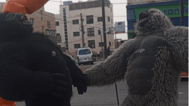 داخل الدب والغوريلا.. شباب أردنيون يهربون من البطالة إلى أعمال مرهقة بأجور متدنية