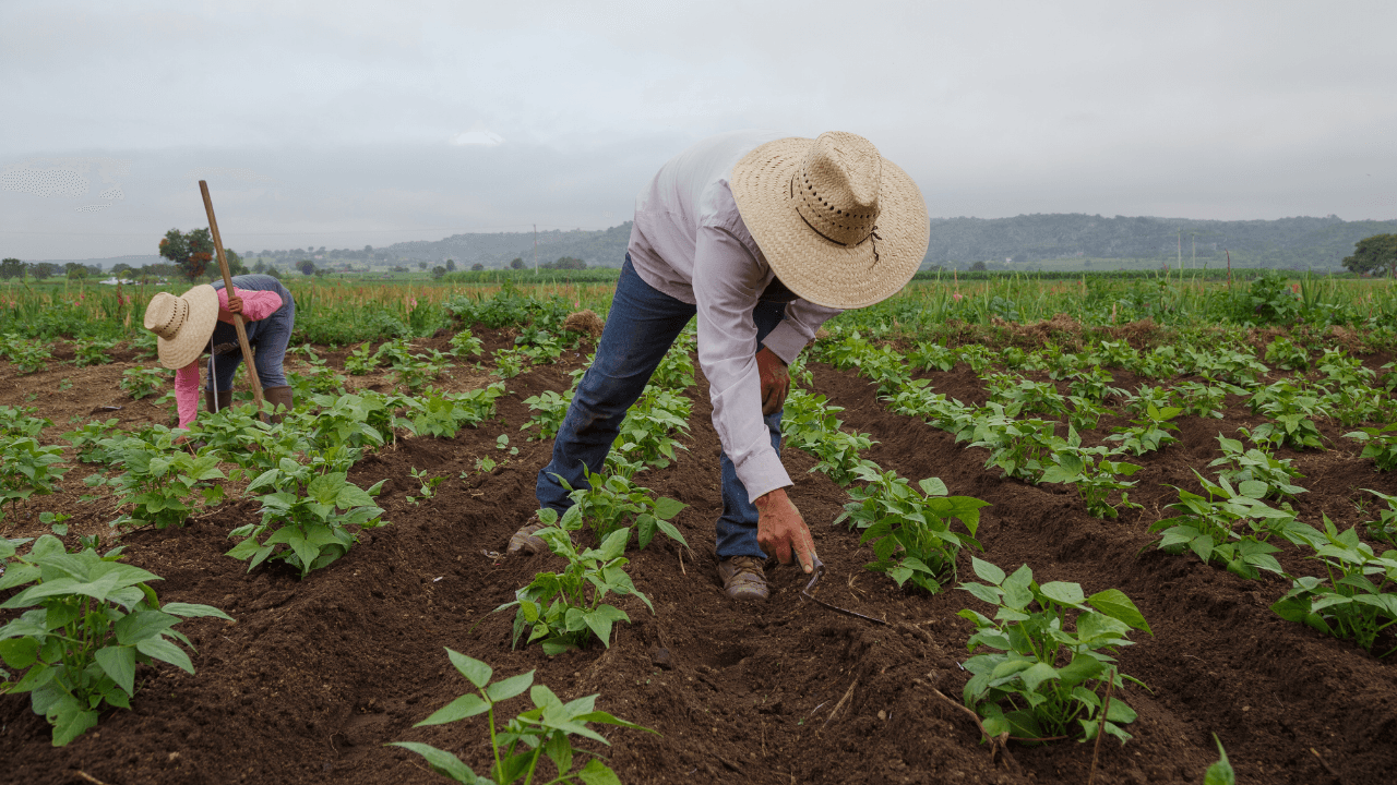 اتفاقية لتعزيز تمويل صغار المزارعين ودعم الشمول المالي