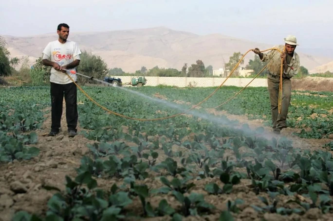 خبراء: التغيرات المناخية تفرض تطوير أساليب الزراعة المطرية في الأردن