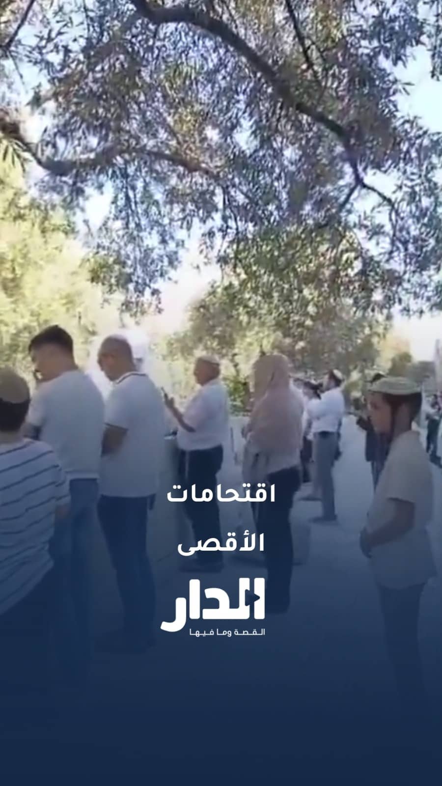 اقتحامات متتالية للمسجد الأقصى تزامنًا مع "عيد العرش"