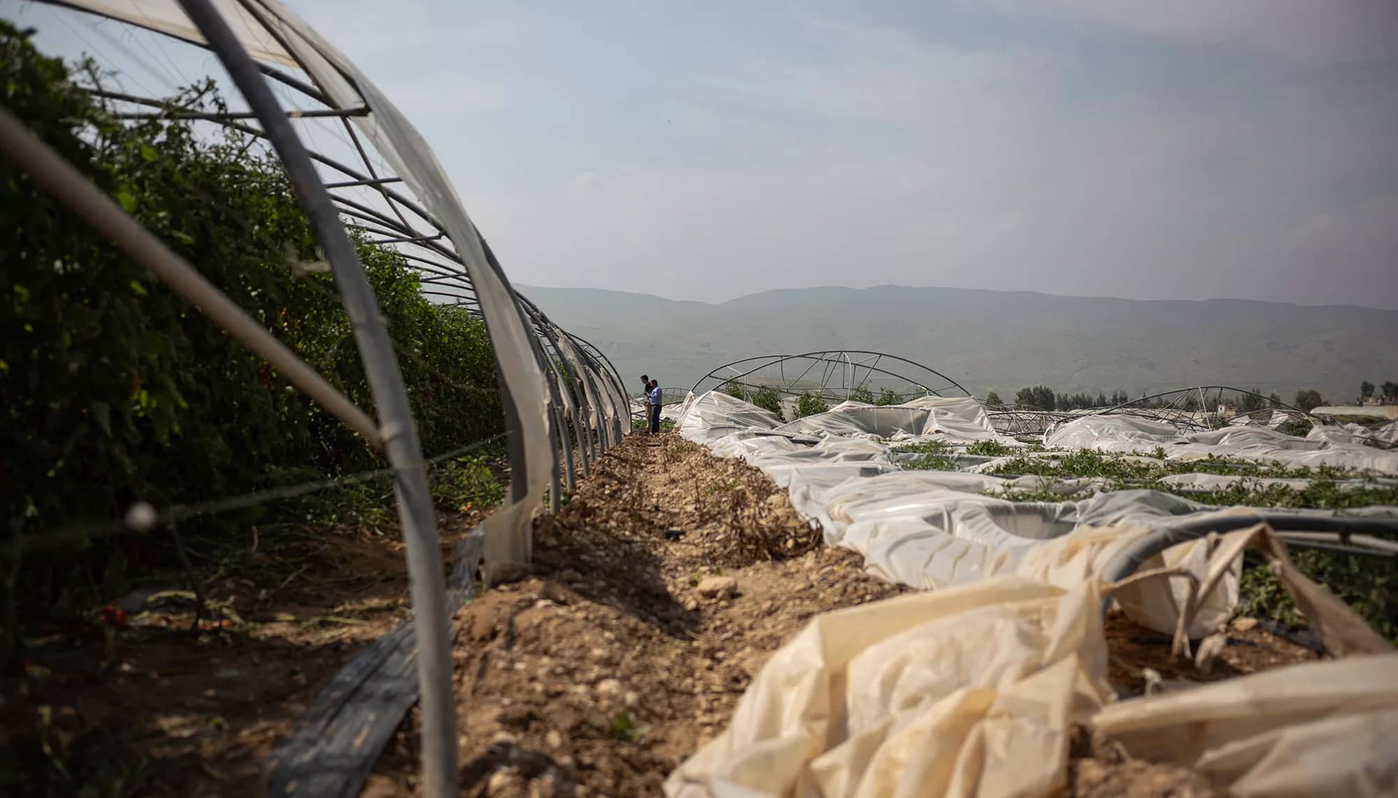 إرشادات وقائية للمزارعين لمواجهة المنخفض الجوي القادم